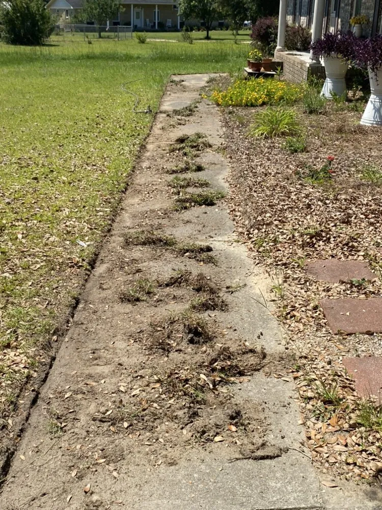 Custom landscape design for year-round maintenance in Gilbert, SC by Heavy Duty’s Lawn Care