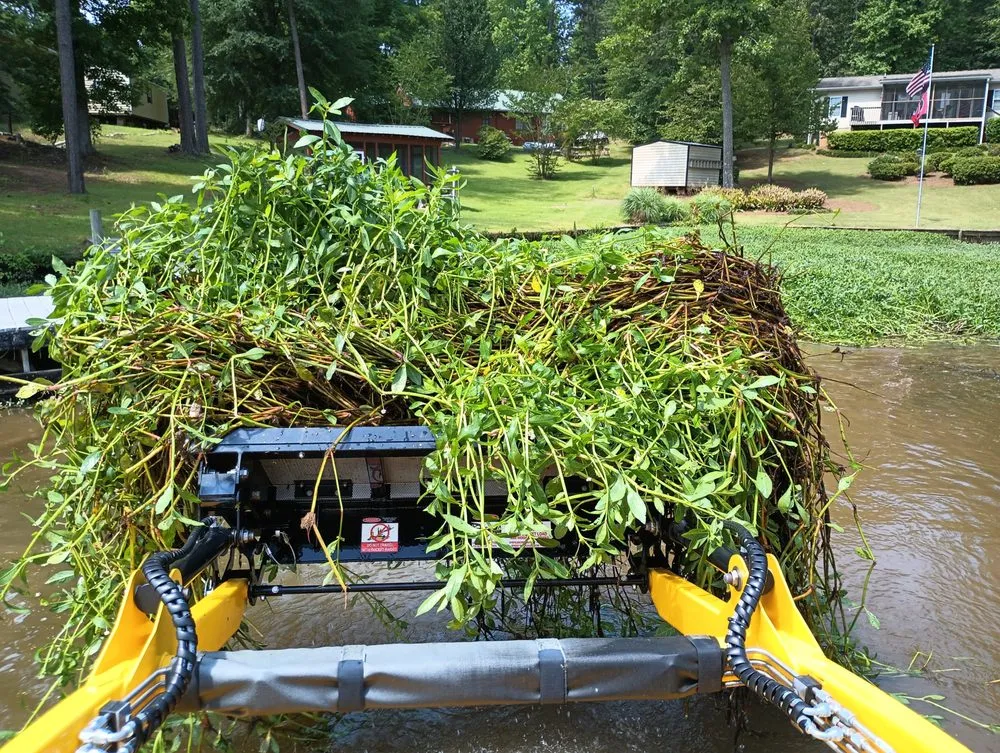 Professional garden landscaping for beautiful yards across Montrose, GA - Heavy Equip