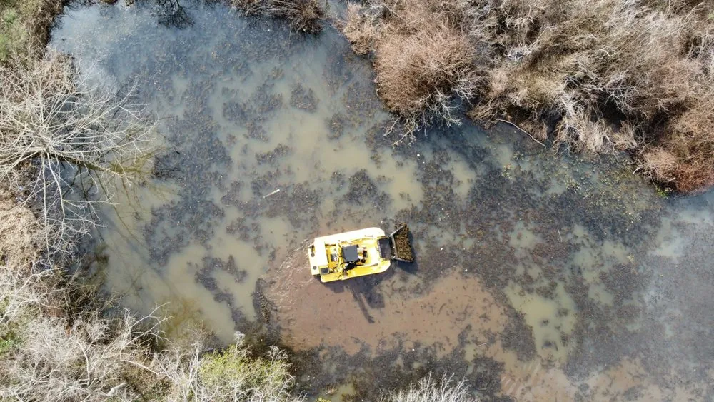 Local yard cleanup service experts serving Montrose, GA - Heavy Equip