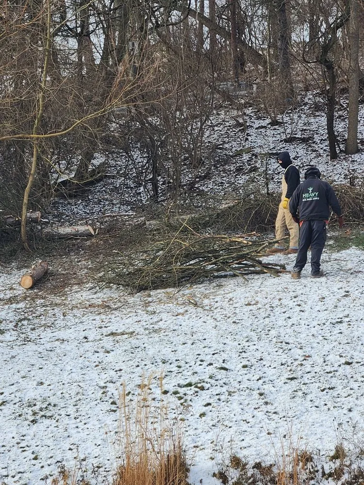 Top-rated yard maintenance for beautiful yards across Finleyville, PA - Heavy Tree Service