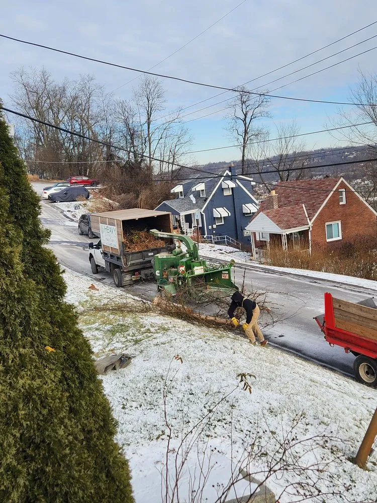 Custom yard maintenance experts serving Finleyville, PA - Heavy Tree Service