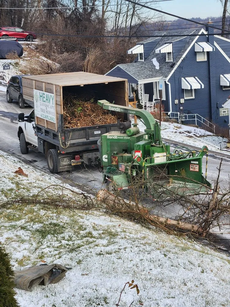 Affordable yard cleanup service in Finleyville, PA - Heavy Tree Service
