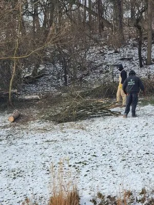 Heavy Tree Service Logo