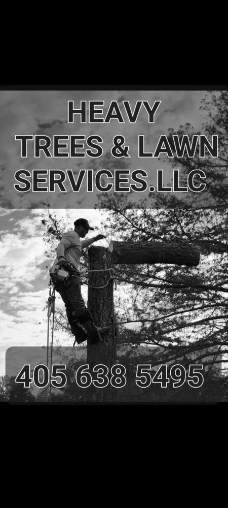 Affordable landscape design in Chickasha, OK - Heavy Trees Lawn Services