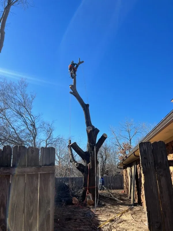 Expert yard cleanup service with custom design across Chickasha, OK - Heavy Trees Lawn Services