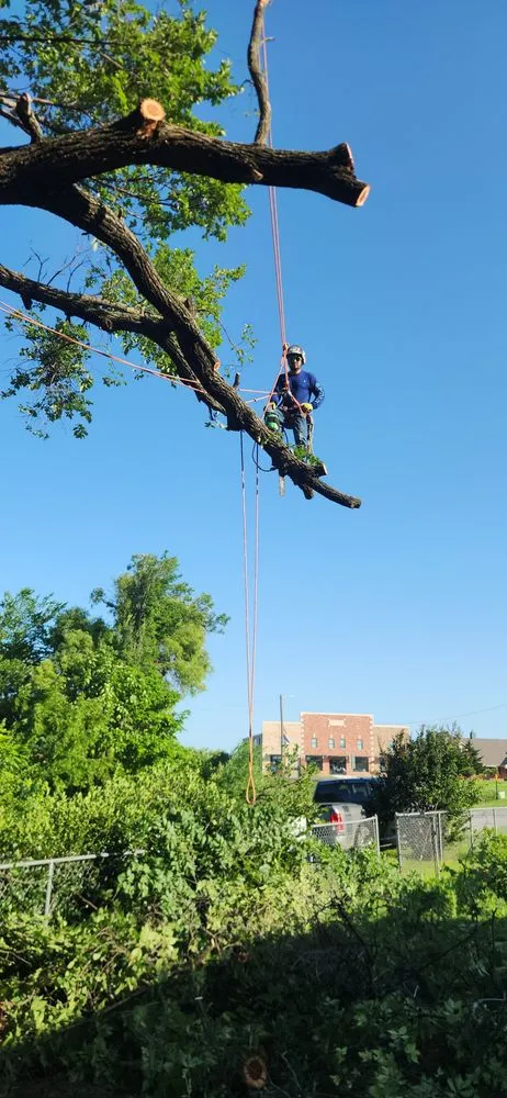 Top-rated landscape installation for homes across Chickasha, OK - Heavy Trees Lawn Services