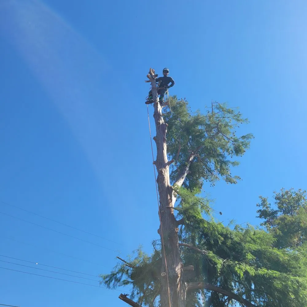 Professional garden landscaping for outdoor upgrades in Chickasha, OK by Heavy Trees Lawn Services