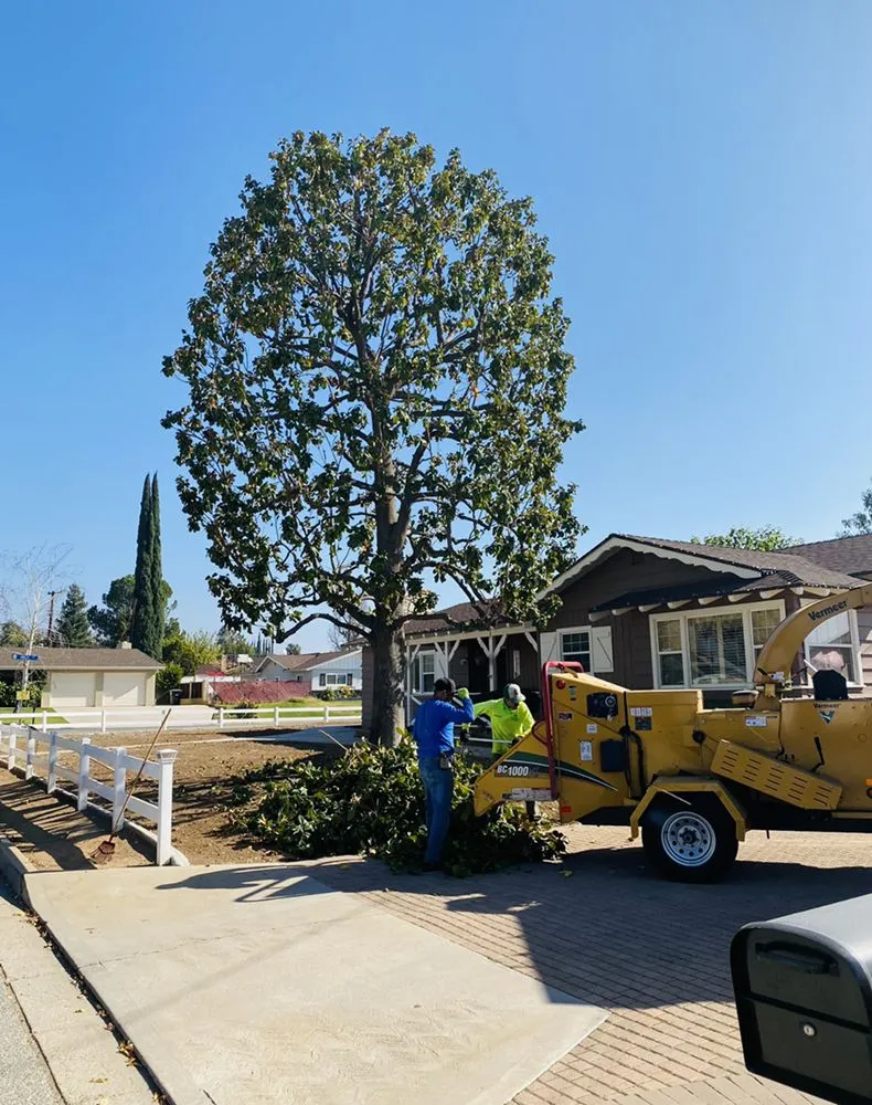 Reliable residential landscaping in Oceanside, CA by HeavyDuty Landscape
