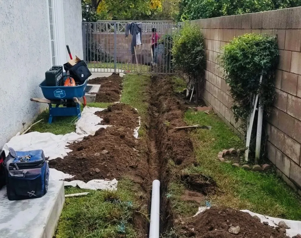 Affordable yard maintenance in Oceanside, CA by HeavyDuty Landscape