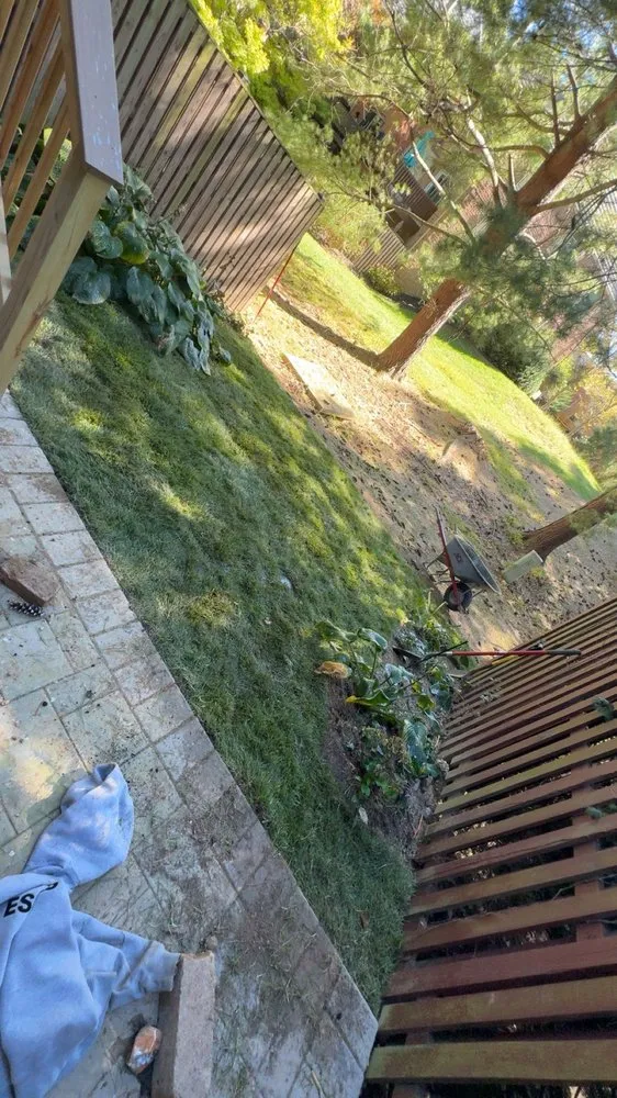 Expert yard cleanup service experts serving Sparks Glencoe, MD - Hebb H & L