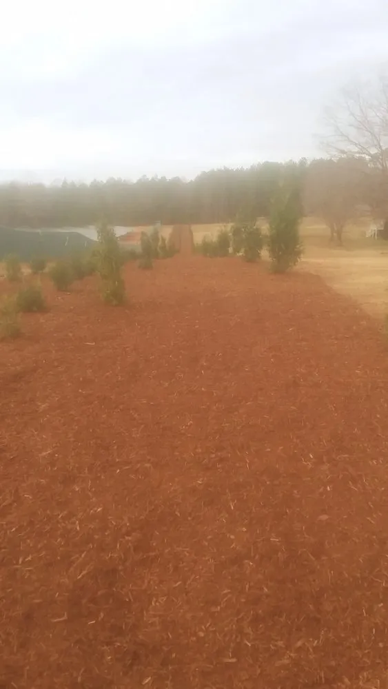 Professional lawn mowing service in East Flat Rock, NC - Hebb's Landscape Service