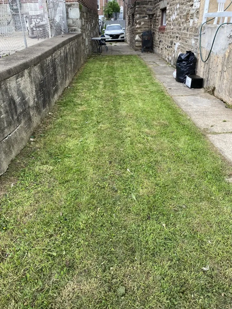 Local outdoor landscaping in Philadelphia, PA by Hec & Sons Lawn Services