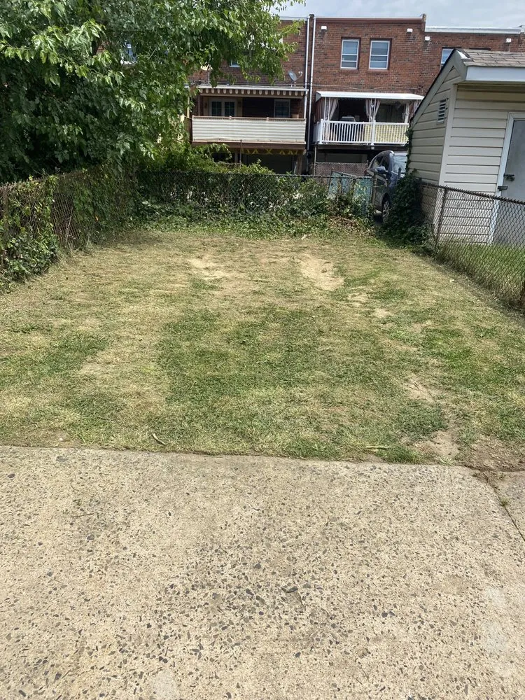 Affordable landscape design in Philadelphia, PA - Hec & Sons Lawn Services