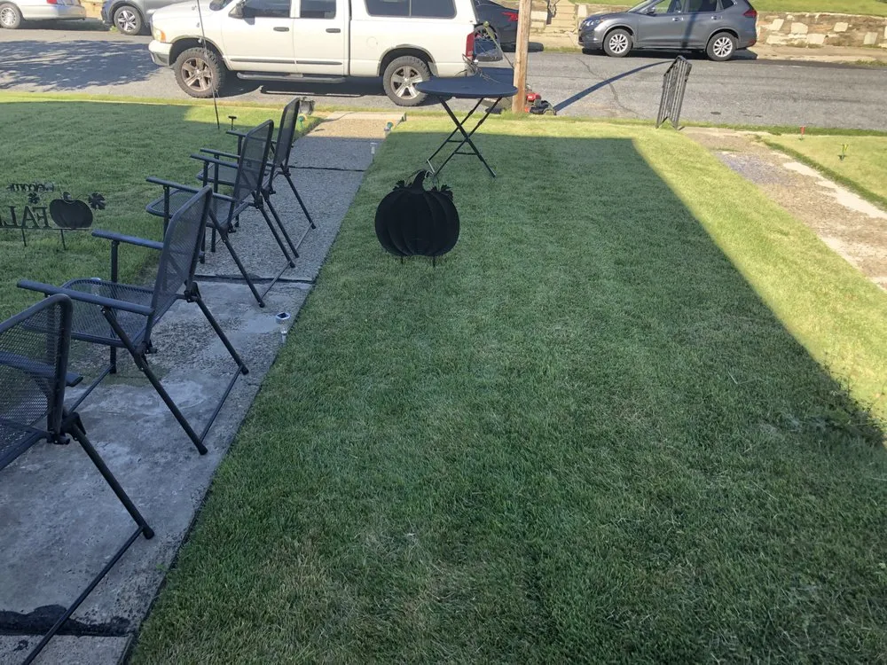 Top-rated yard cleanup service for residential properties in Philadelphia, PA by Hec & Sons Lawn Services