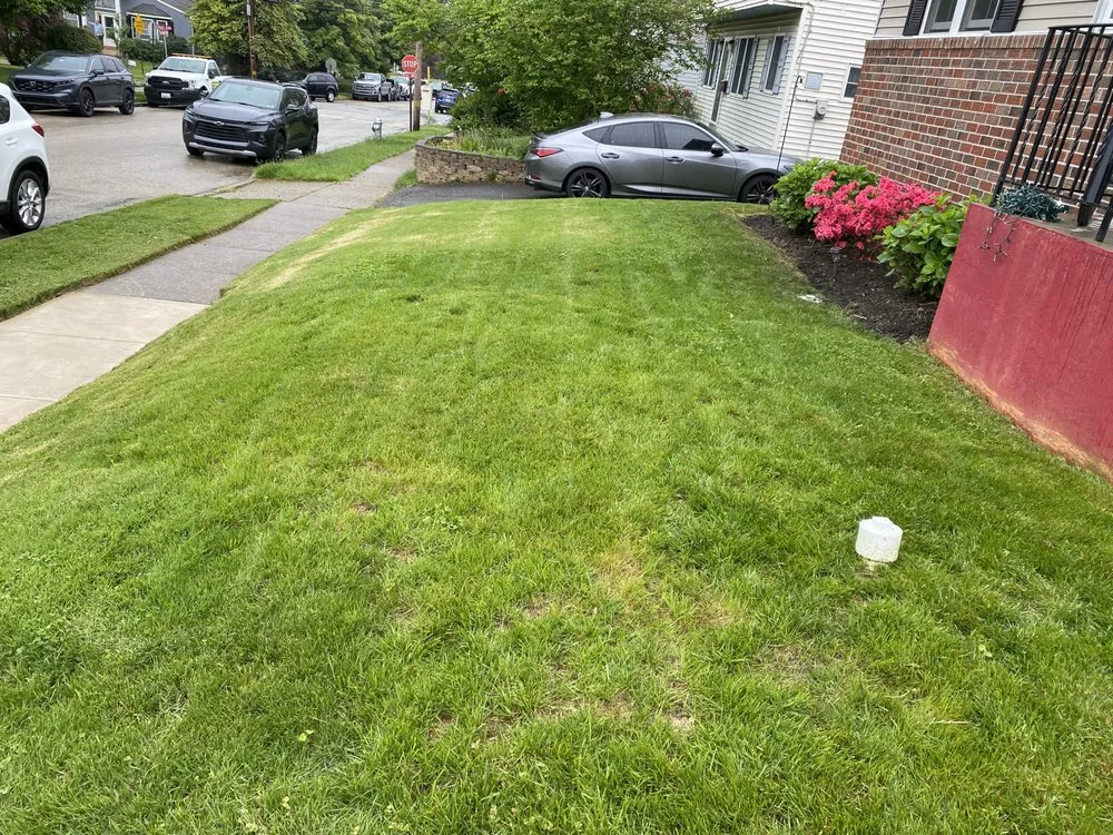 Affordable yard cleanup service in Philadelphia, PA by Hec & Sons Lawn Services