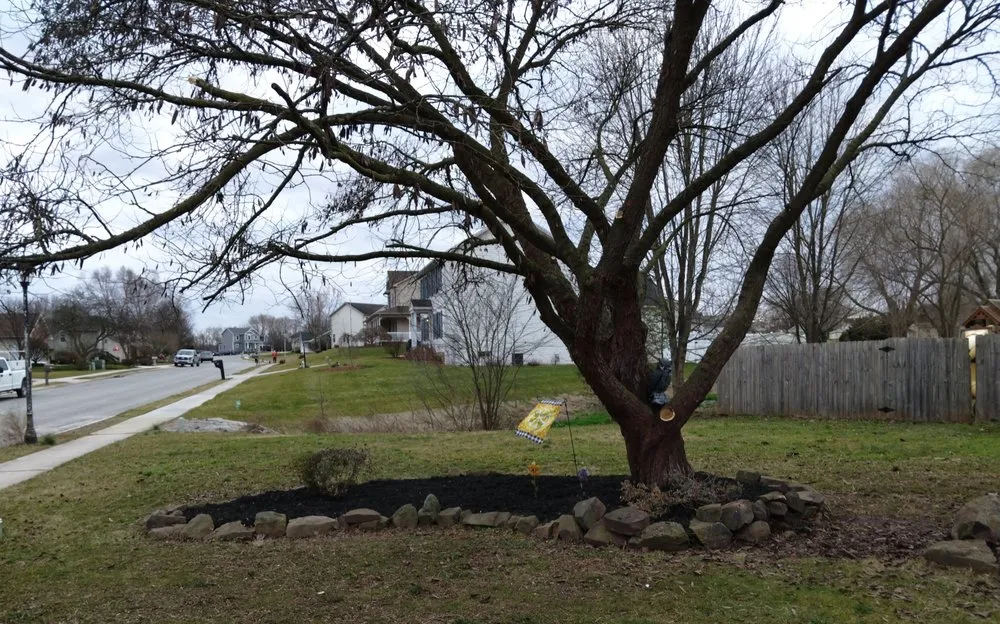 Custom yard cleanup service in Hanover, PA by Heckendorn's Lawn Care