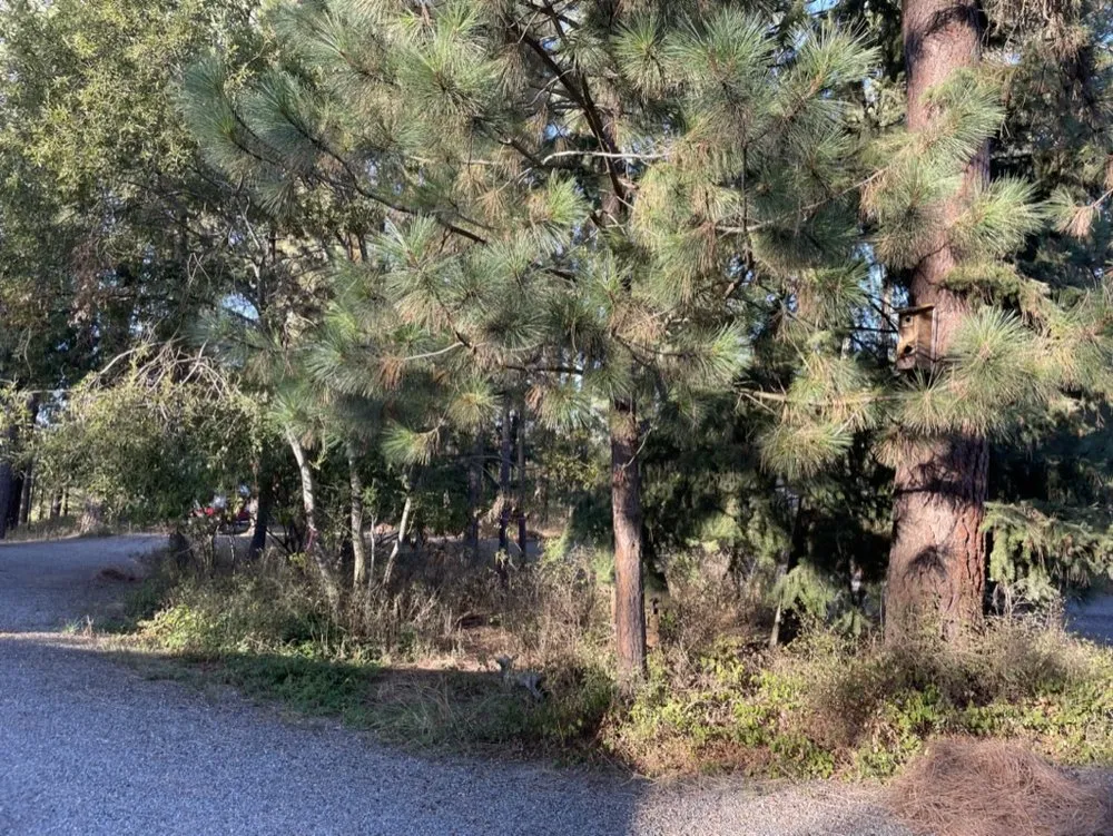 Local landscaping services experts serving Newman Lake, WA - Hecker