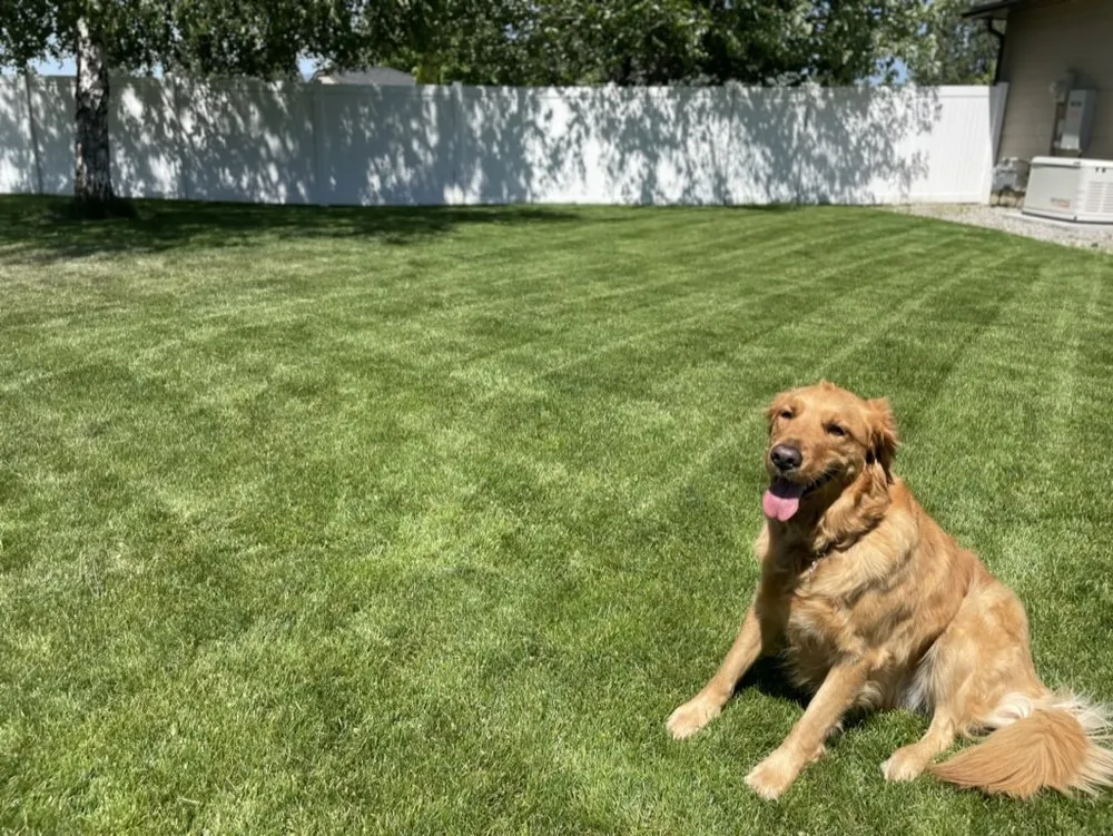 Affordable yard cleanup service for beautiful yards in Newman Lake, WA by Hecker