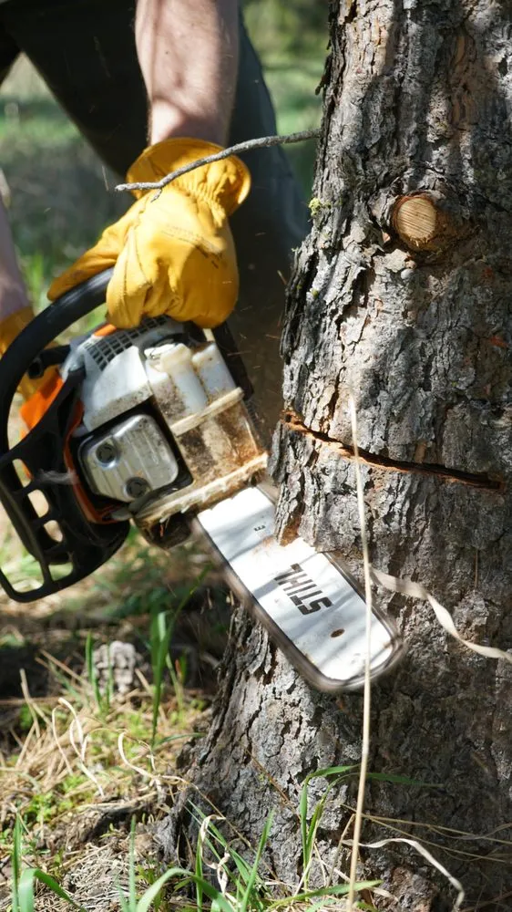 Reliable outdoor landscaping experts serving Newman Lake, WA - Hecker
