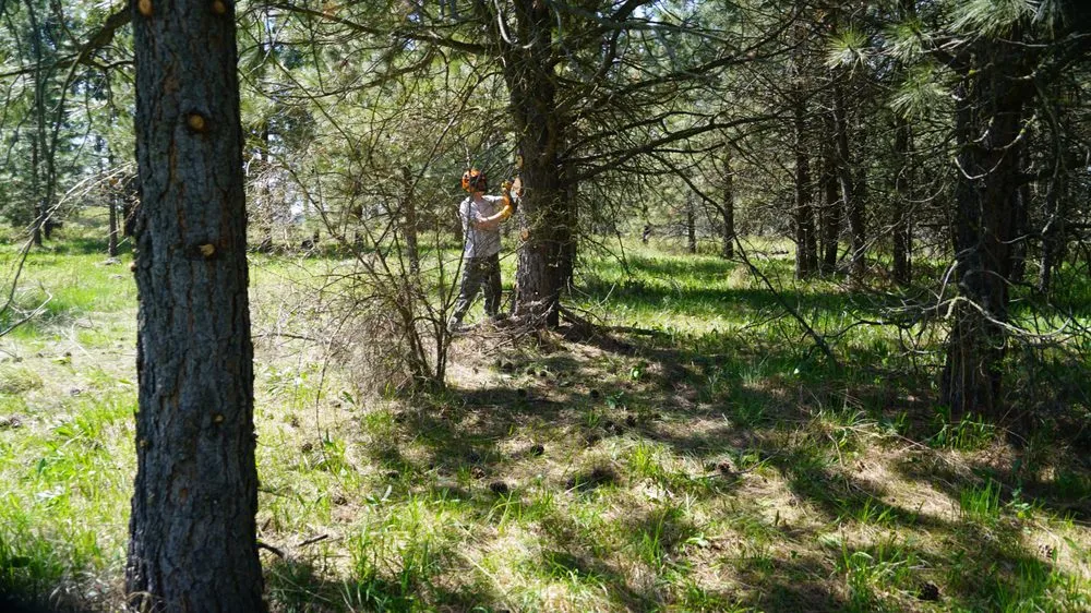 Top-rated landscaping services near you across Newman Lake, WA - Hecker