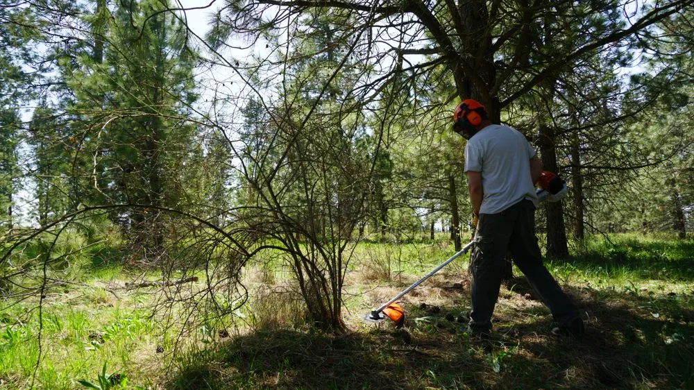 Custom lawn care service in Newman Lake, WA by Hecker
