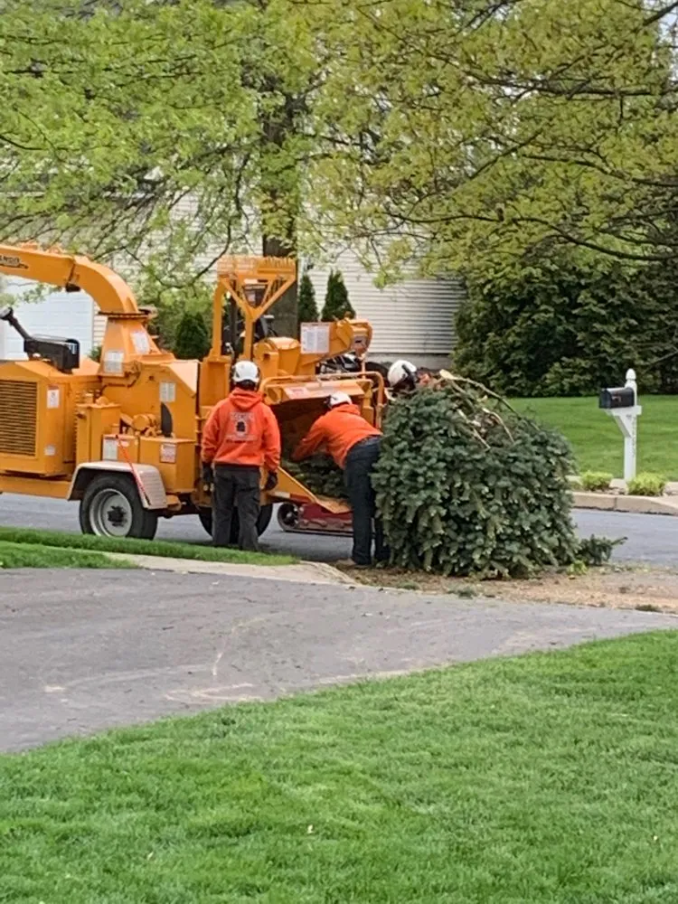 Local landscape design in Hatfield, PA by Heckler Tree and Lawn Care