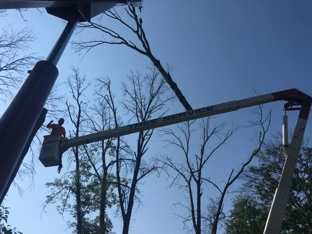 Trusted yard cleanup service for homes in Hatfield, PA by Heckler Tree and Lawn Care