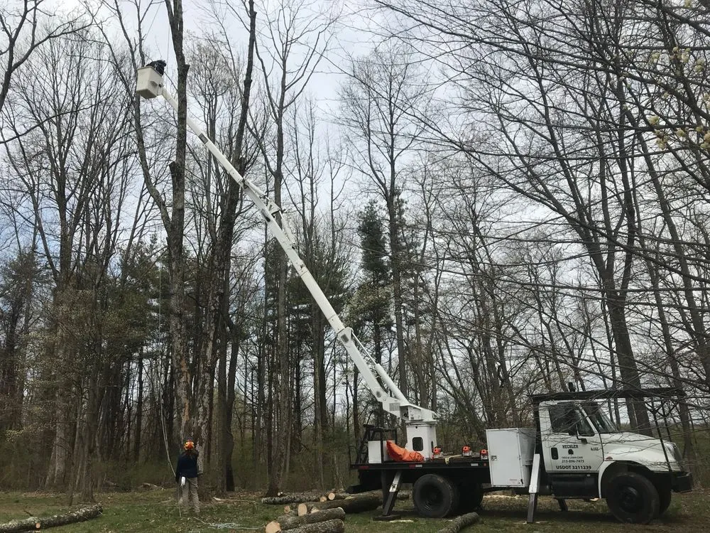 Reliable lawn care service for homes across Hatfield, PA - Heckler Tree and Lawn Care