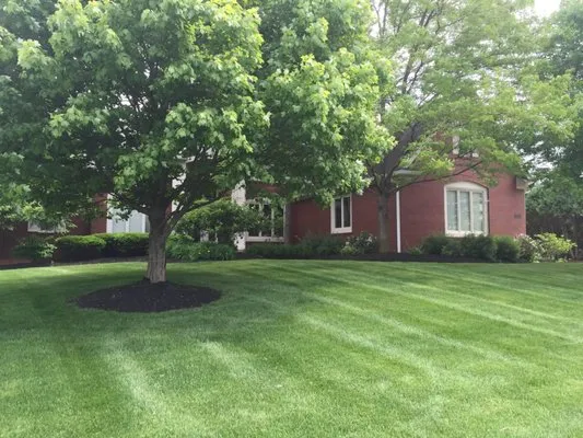 Heckman Landscaping Logo