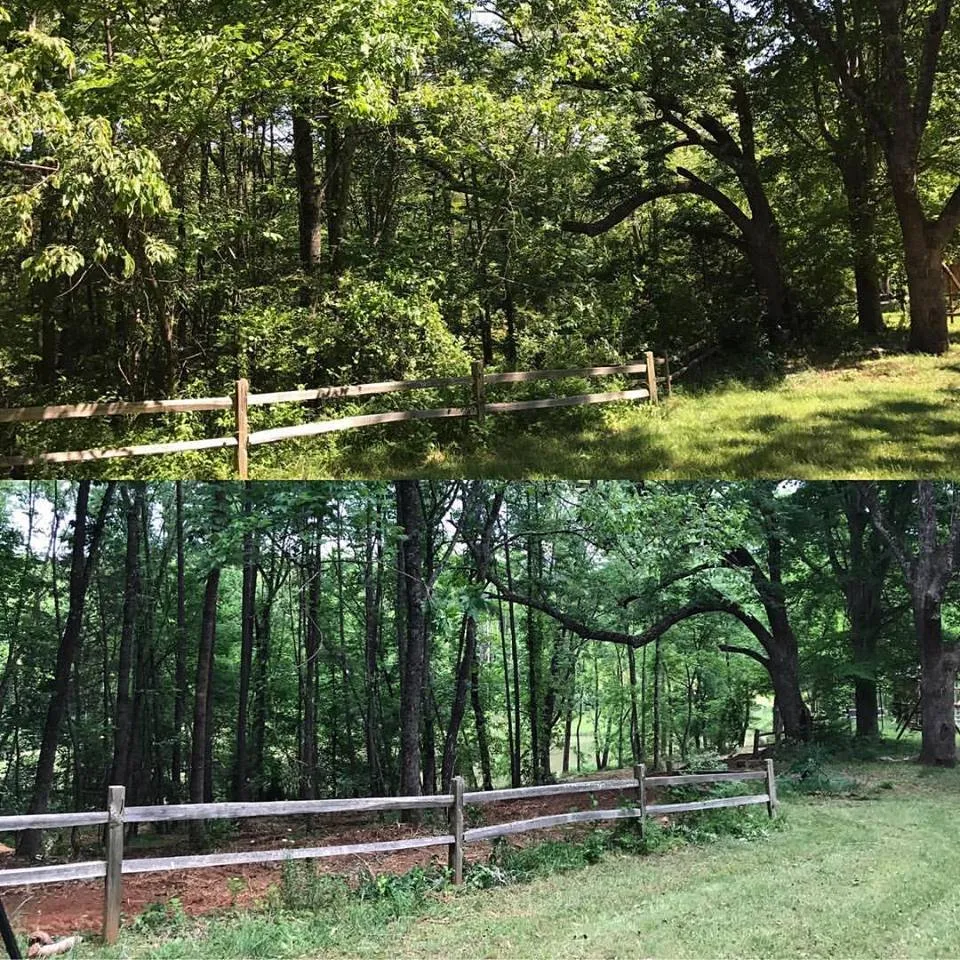 Local residential landscaping near you in Forest, VA by Heckman Landworks