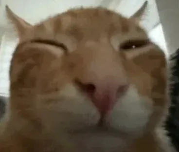 Top-rated yard cleanup service experts serving Chattanooga, TN - Heckman Mow & Go