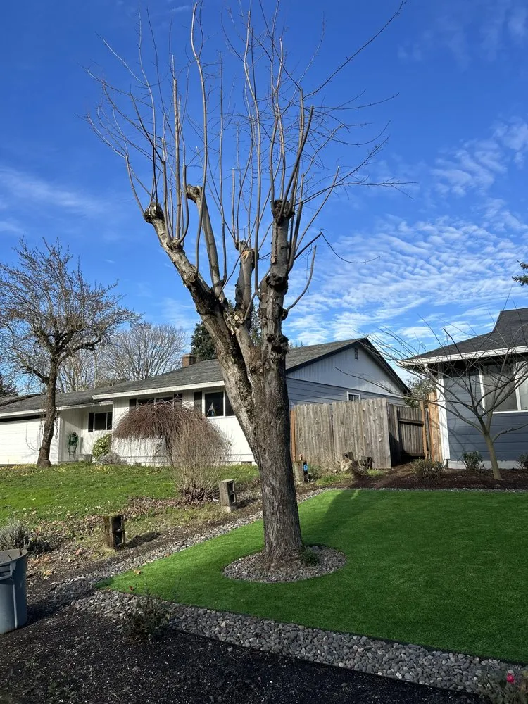 Top-rated landscape installation in Portland, OR - HecMar Landacaping & Tree Service