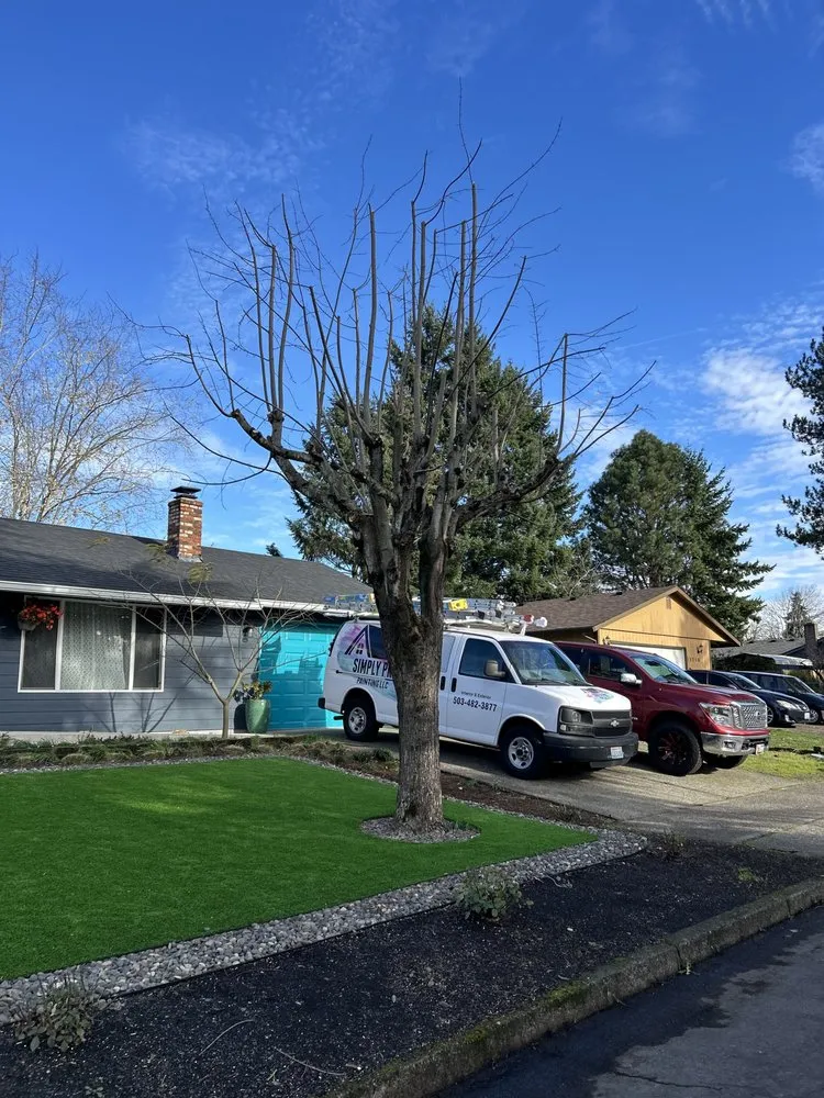 Local yard cleanup service for outdoor upgrades across Portland, OR - HecMar Landacaping & Tree Service