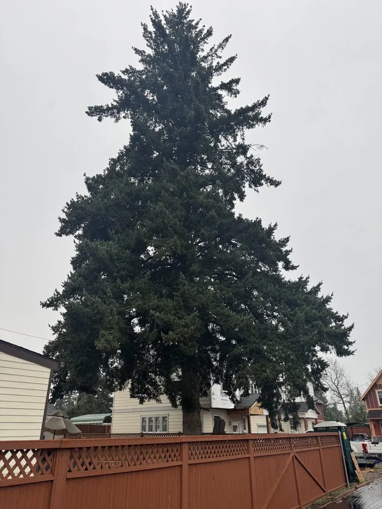 Affordable garden landscaping in Portland, OR - HecMar Landacaping & Tree Service