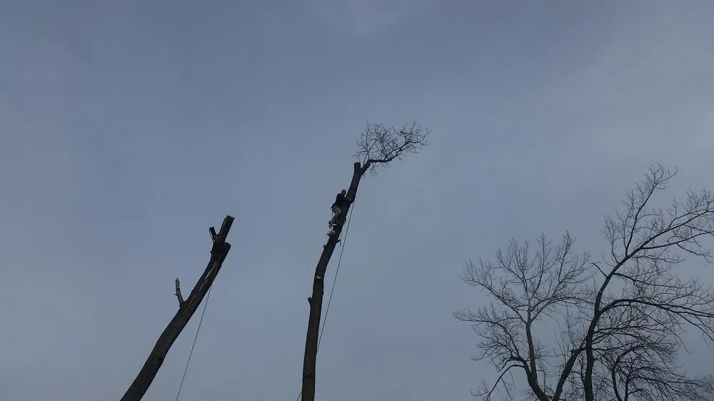 Affordable landscape installation experts serving Midlothian, IL - Hector & Sons Landscaping