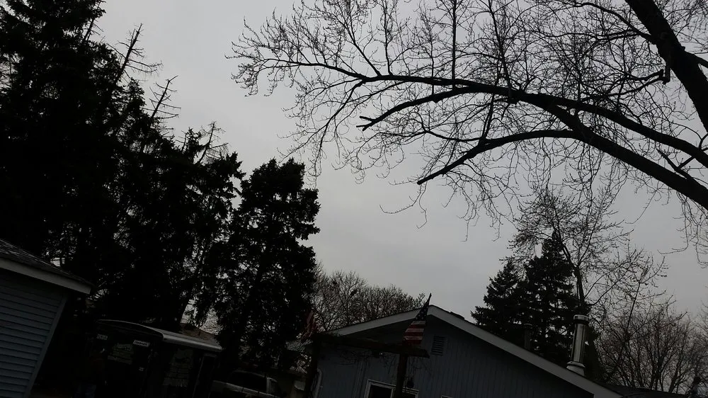 Affordable outdoor landscaping in Midlothian, IL - Hector & Sons Landscaping