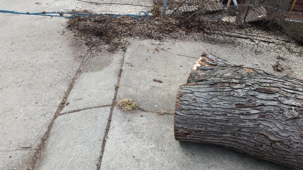 Top-rated yard maintenance for residential properties across Midlothian, IL - Hector & Sons Landscaping