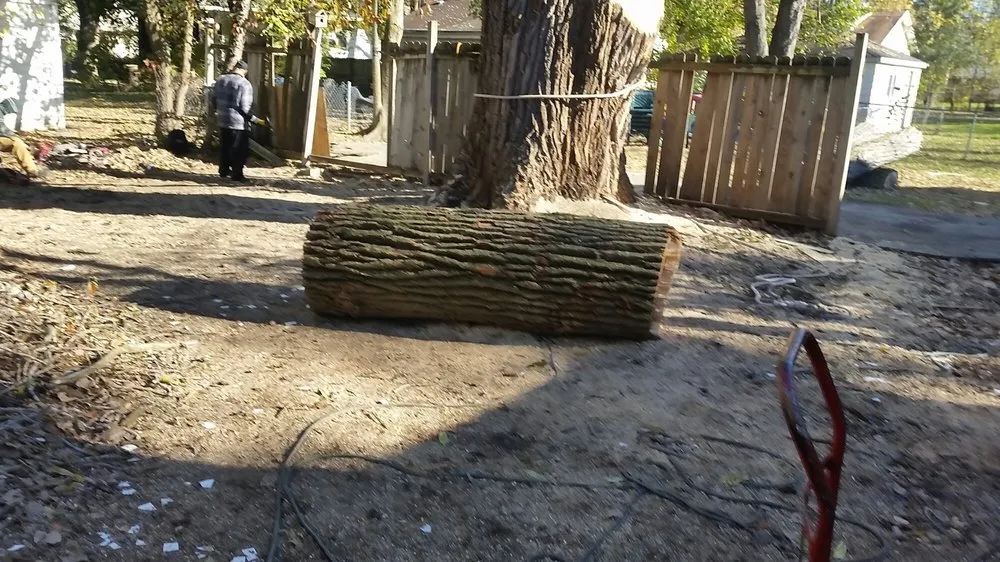 Top-rated landscape design experts serving Midlothian, IL - Hector & Sons Landscaping