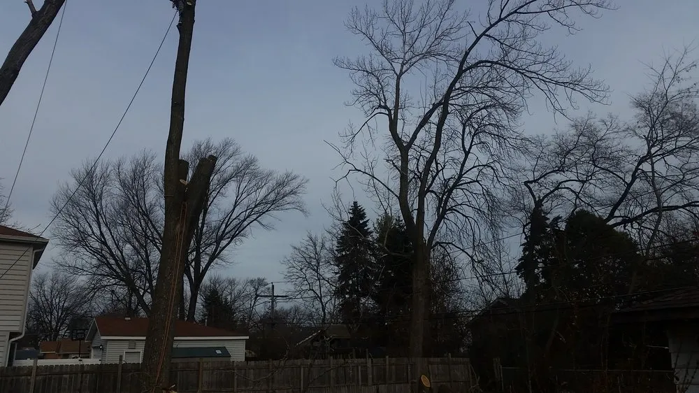 Reliable lawn mowing service in Midlothian, IL by Hector & Sons Landscaping