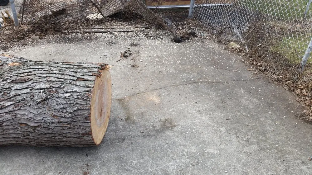 Custom landscape design with custom design in Midlothian, IL by Hector & Sons Landscaping