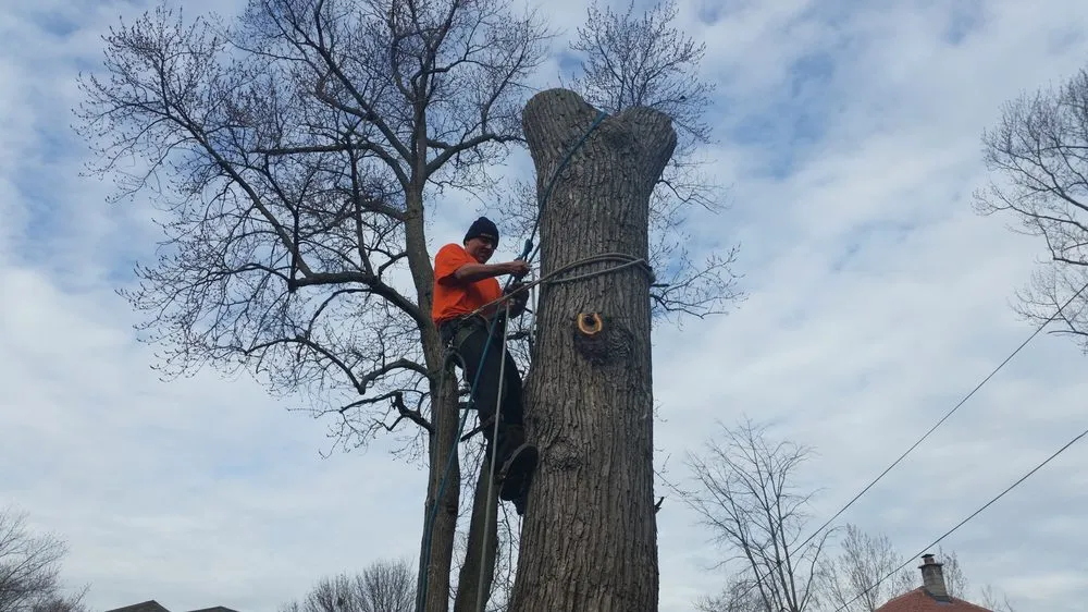 Trusted outdoor landscaping near you in Midlothian, IL by Hector & Sons Landscaping