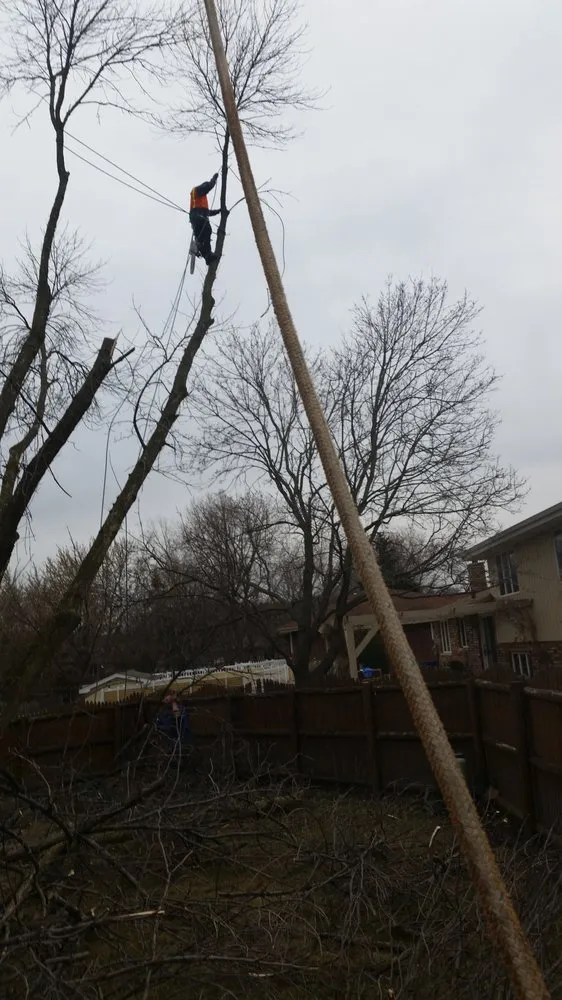 Custom landscape installation in Midlothian, IL - Hector & Sons Landscaping