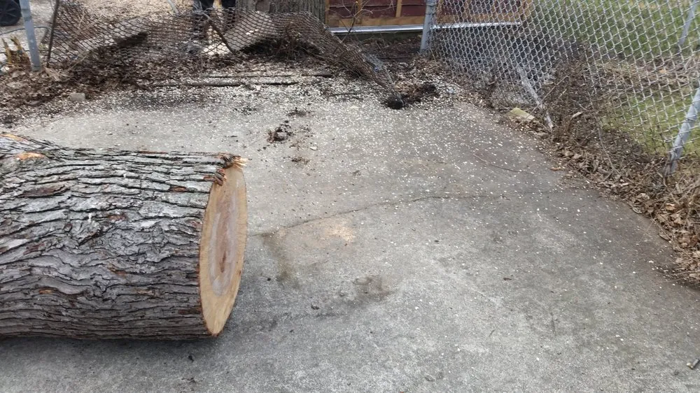 Custom lawn mowing service for outdoor upgrades in Midlothian, IL by Hector & Sons Landscaping