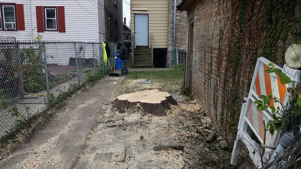 Trusted lawn mowing service in Midlothian, IL by Hector & Sons Landscaping