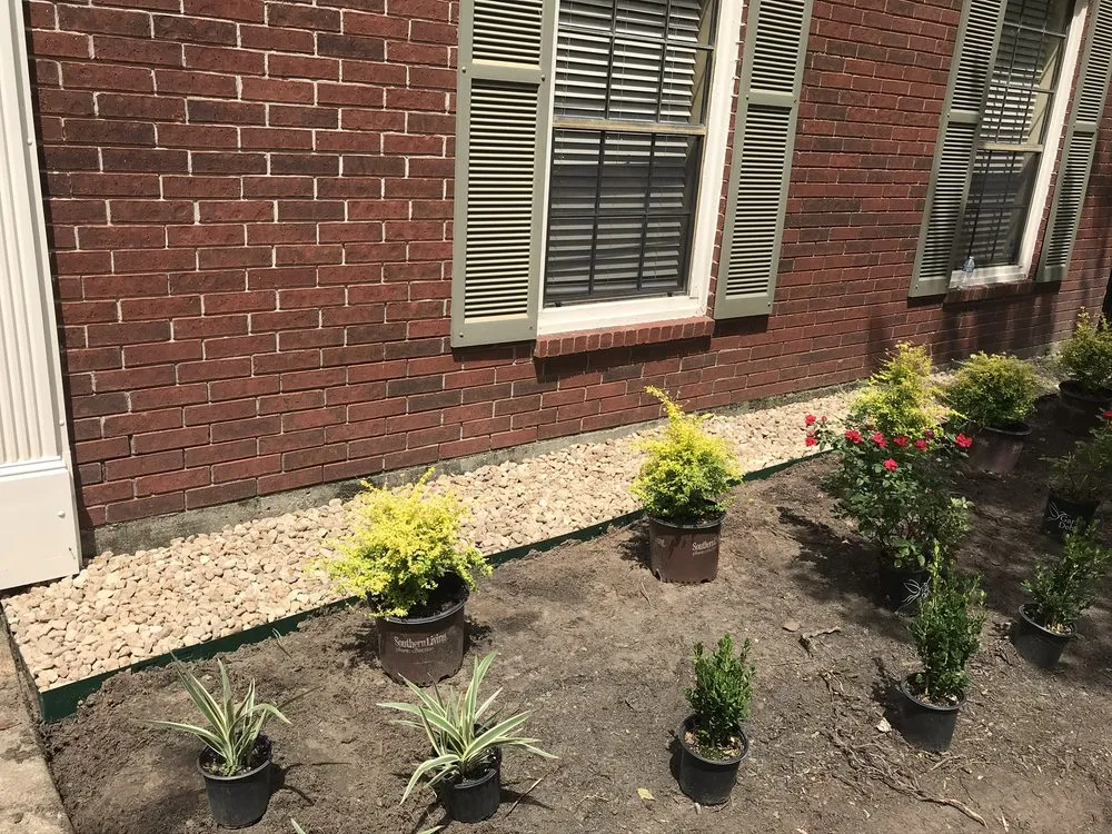 Reliable lawn care service in Cypress, TX - Hector Hernandez Landscaping