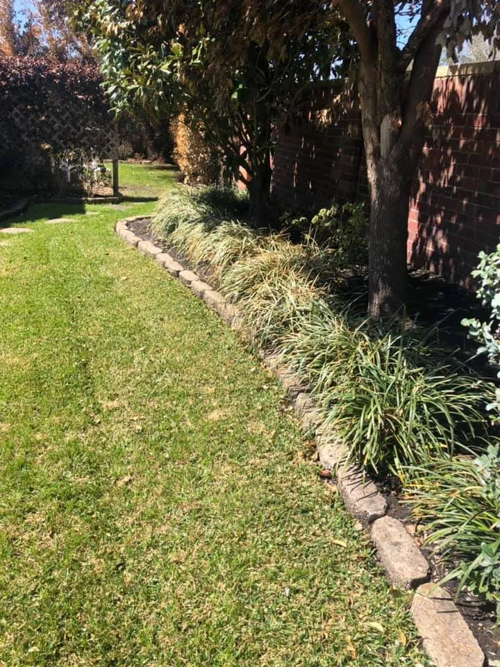 Expert residential landscaping in Cypress, TX by Hector Hernandez Landscaping