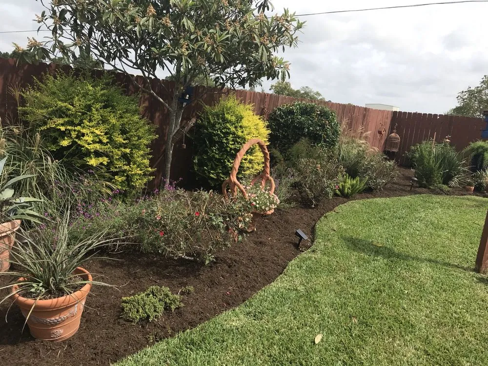 Trusted yard cleanup service in Cypress, TX by Hector Hernandez Landscaping