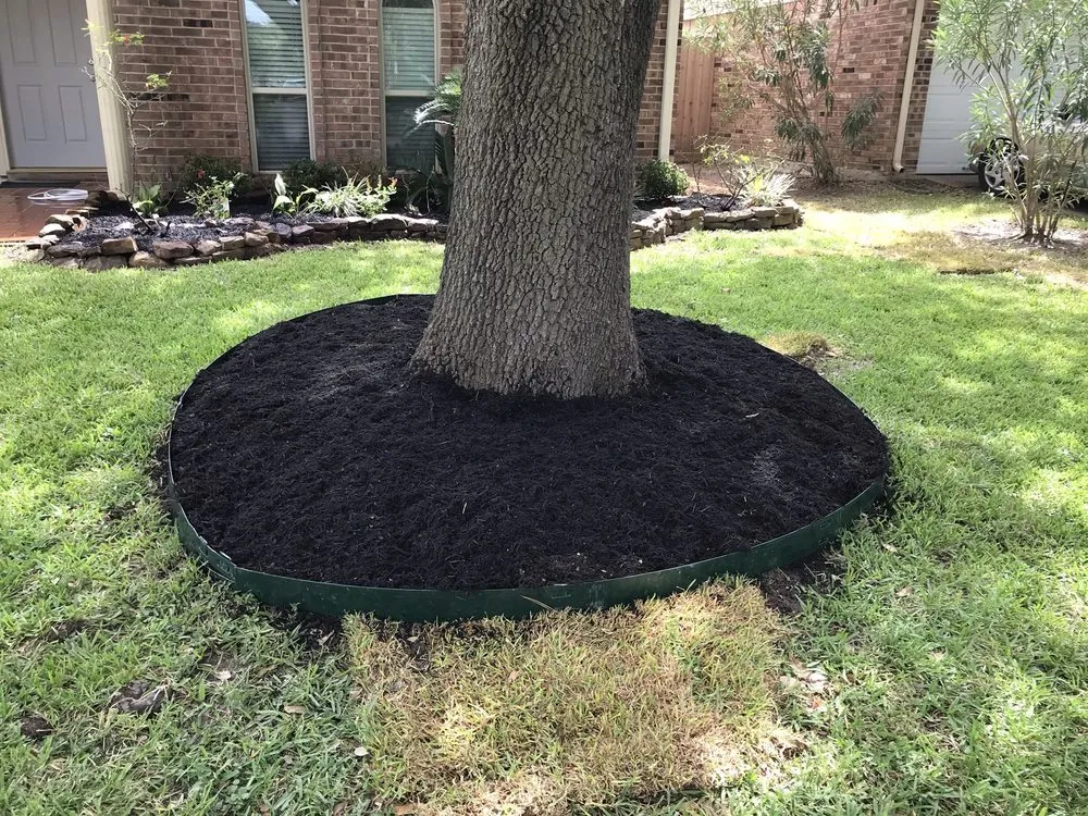 Local outdoor landscaping experts serving Cypress, TX - Hector Hernandez Landscaping