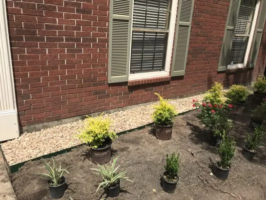 Hector Hernandez Landscaping Logo