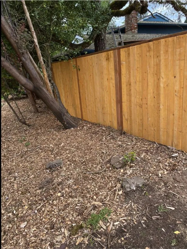 Professional garden landscaping in Woodburn, OR - Hector Landscape & Construction